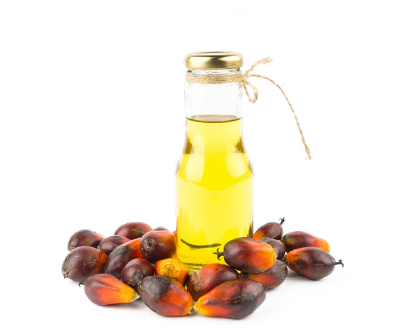 优发国际·随优而动一触即发