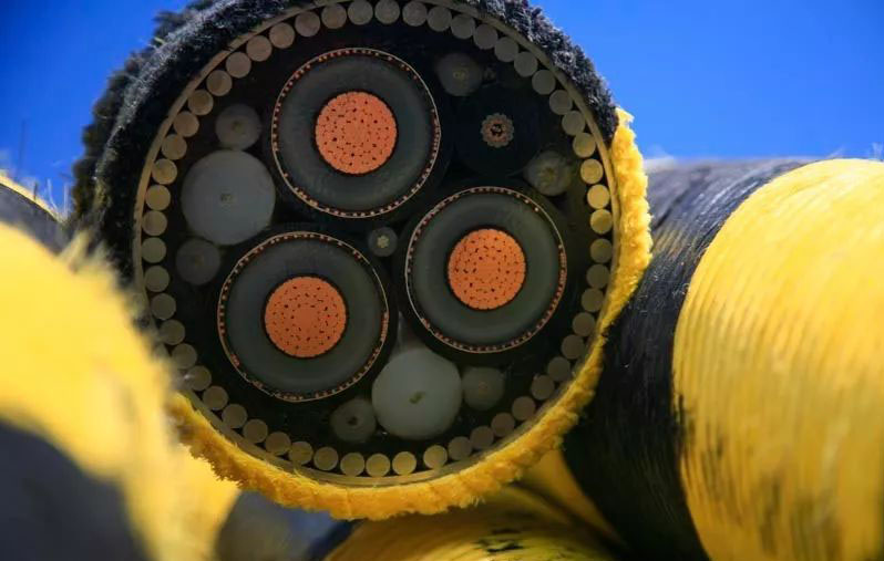 优发国际·随优而动一触即发