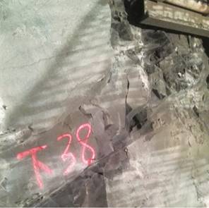 优发国际·随优而动一触即发