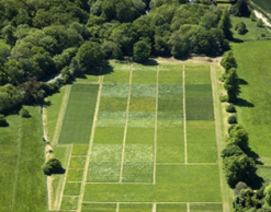 优发国际·随优而动一触即发